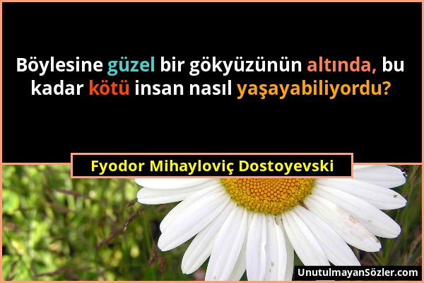 Fyodor Mihayloviç Dostoyevski - Böylesine güzel bir gökyüzünün altında, bu kadar kötü insan nasıl yaşayabiliyordu?...