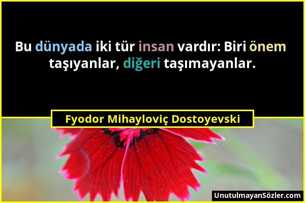 Fyodor Mihayloviç Dostoyevski - Bu dünyada iki tür insan vardır: Biri önem taşıyanlar, diğeri taşımayanlar....