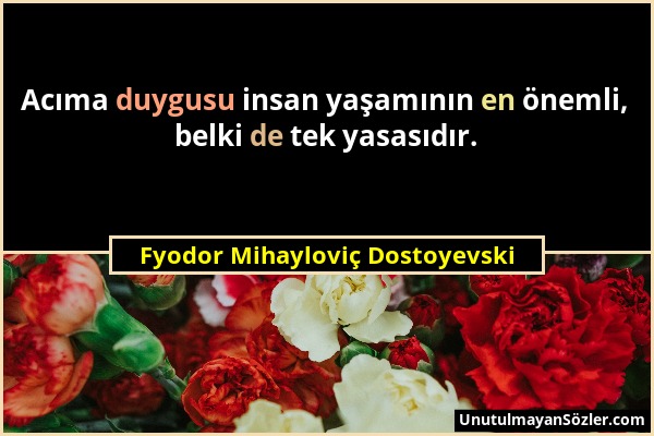 Fyodor Mihayloviç Dostoyevski - Acıma duygusu insan yaşamının en önemli, belki de tek yasasıdır....