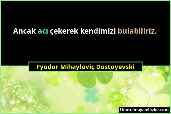 Fyodor Mihayloviç Dostoyevski - Ancak acı çekerek kendimizi bulabiliriz....