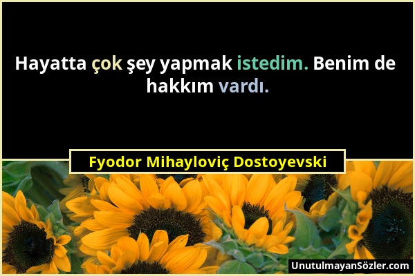 Fyodor Mihayloviç Dostoyevski - Hayatta çok şey yapmak istedim. Benim de hakkım vardı....