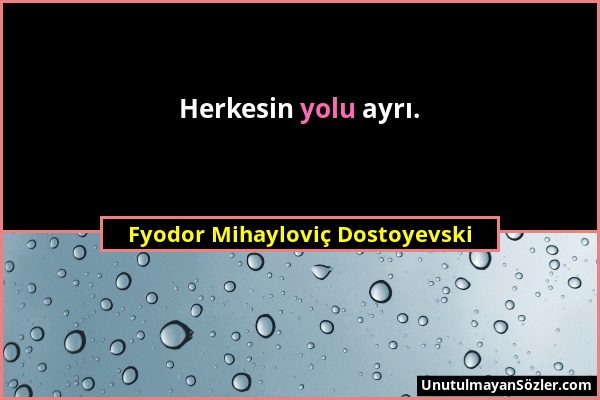 Fyodor Mihayloviç Dostoyevski - Herkesin yolu ayrı....