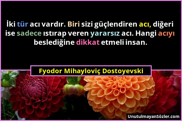 Fyodor Mihayloviç Dostoyevski - İki tür acı vardır. Biri sizi güçlendiren acı, diğeri ise sadece ıstırap veren yararsız acı. Hangi acıyı beslediğine d...