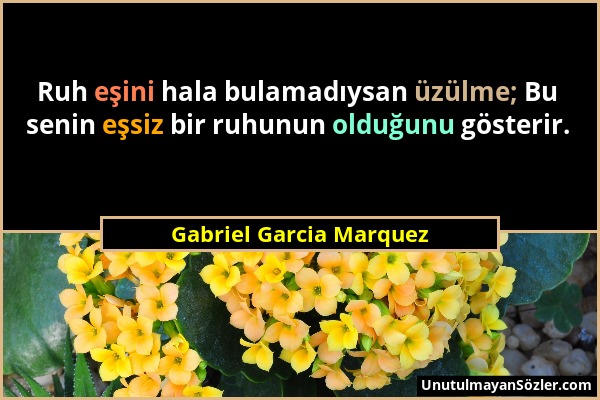 Gabriel Garcia Marquez - Ruh eşini hala bulamadıysan üzülme; Bu senin eşsiz bir ruhunun olduğunu gösterir....
