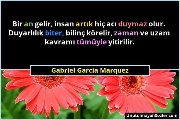 Gabriel Garcia Marquez - Bir an gelir, insan artık hiç acı duymaz olur. Duyarlılık biter, bilinç körelir, zaman ve uzam kavramı tümüyle yitirilir....