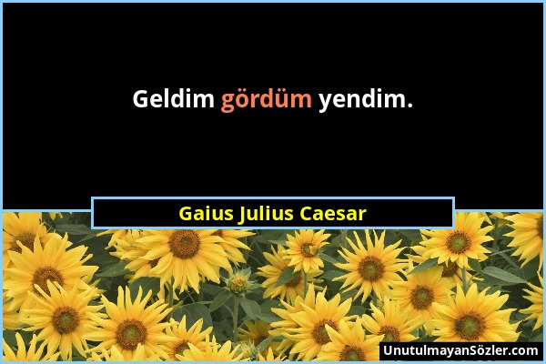Gaius Julius Caesar - Geldim gördüm yendim....