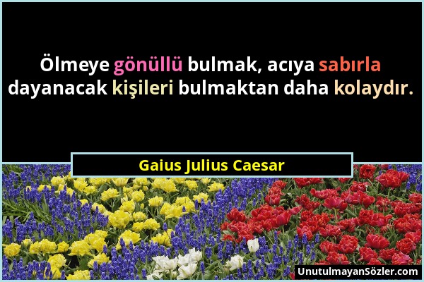 Gaius Julius Caesar - Ölmeye gönüllü bulmak, acıya sabırla dayanacak kişileri bulmaktan daha kolaydır....