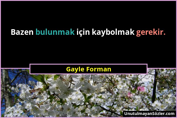 Gayle Forman - Bazen bulunmak için kaybolmak gerekir....