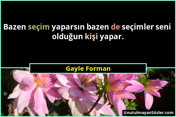 Gayle Forman - Bazen seçim yaparsın bazen de seçimler seni olduğun kişi yapar....