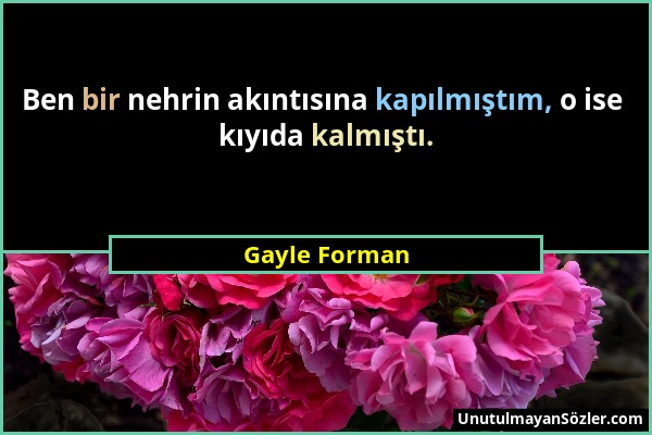 Gayle Forman - Ben bir nehrin akıntısına kapılmıştım, o ise kıyıda kalmıştı....