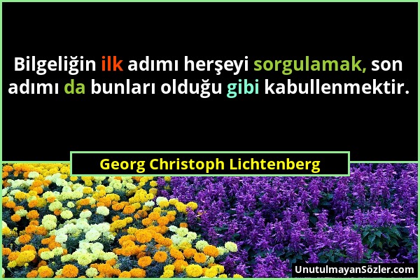 Georg Christoph Lichtenberg - Bilgeliğin ilk adımı herşeyi sorgulamak, son adımı da bunları olduğu gibi kabullenmektir....