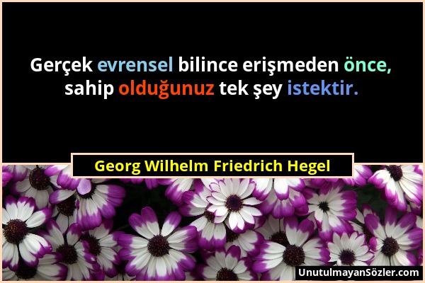 Georg Wilhelm Friedrich Hegel - Gerçek evrensel bilince erişmeden önce, sahip olduğunuz tek şey istektir....