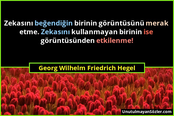 Georg Wilhelm Friedrich Hegel - Zekasını beğendiğin birinin görüntüsünü merak etme. Zekasını kullanmayan birinin ise görüntüsünden etkilenme!...
