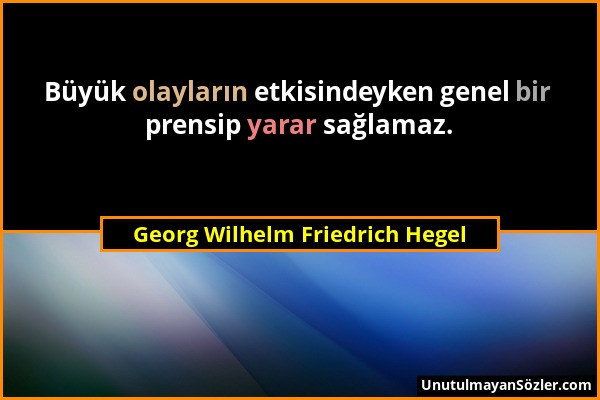 Georg Wilhelm Friedrich Hegel - Büyük olayların etkisindeyken genel bir prensip yarar sağlamaz....