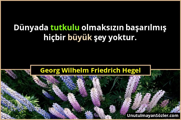 Georg Wilhelm Friedrich Hegel - Dünyada tutkulu olmaksızın başarılmış hiçbir büyük şey yoktur....