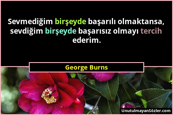George Burns - Sevmediğim birşeyde başarılı olmaktansa, sevdiğim birşeyde başarısız olmayı tercih ederim....