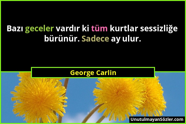 George Carlin - Bazı geceler vardır ki tüm kurtlar sessizliğe bürünür. Sadece ay ulur....