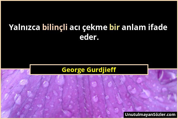 George Gurdjieff - Yalnızca bilinçli acı çekme bir anlam ifade eder....