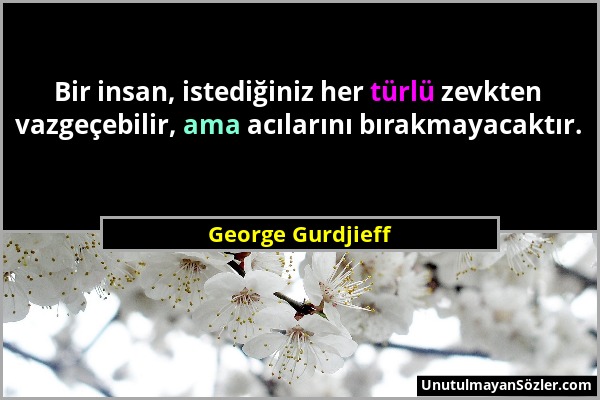 George Gurdjieff - Bir insan, istediğiniz her türlü zevkten vazgeçebilir, ama acılarını bırakmayacaktır....