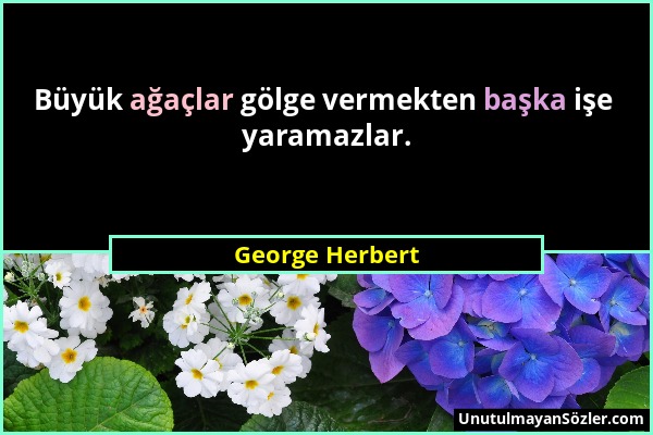 George Herbert - Büyük ağaçlar gölge vermekten başka işe yaramazlar....