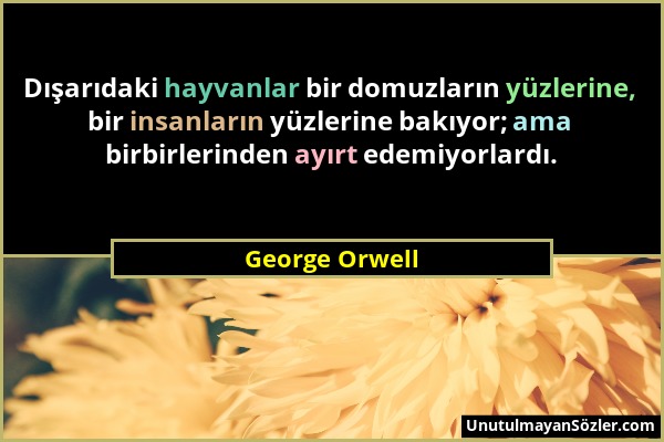 George Orwell - Dışarıdaki hayvanlar bir domuzların yüzlerine, bir insanların yüzlerine bakıyor; ama birbirlerinden ayırt edemiyorlardı....