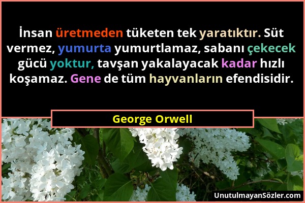 George Orwell - İnsan üretmeden tüketen tek yaratıktır. Süt vermez, yumurta yumurtlamaz, sabanı çekecek gücü yoktur, tavşan yakalayacak kadar hızlı ko...