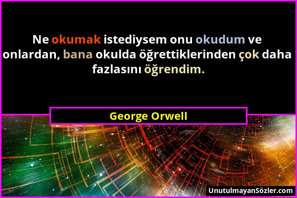 George Orwell - Ne okumak istediysem onu okudum ve onlardan, bana okulda öğrettiklerinden çok daha fazlasını öğrendim....