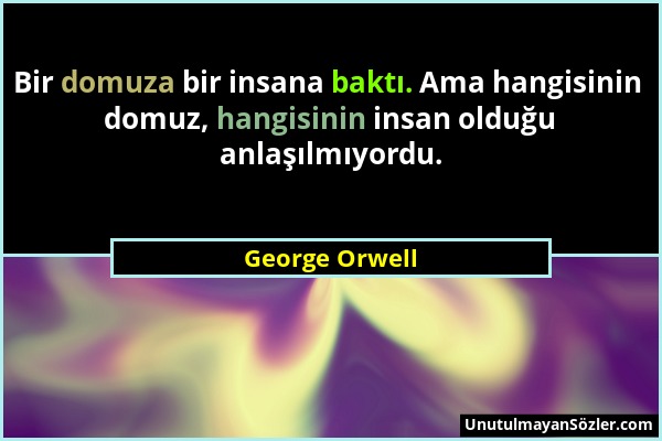 George Orwell - Bir domuza bir insana baktı. Ama hangisinin domuz, hangisinin insan olduğu anlaşılmıyordu....