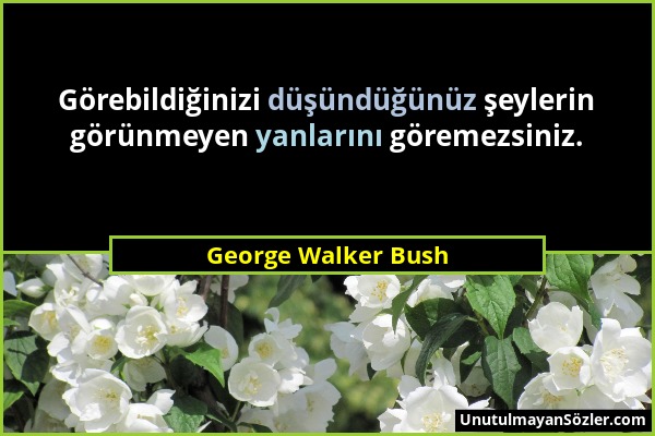 George Walker Bush - Görebildiğinizi düşündüğünüz şeylerin görünmeyen yanlarını göremezsiniz....