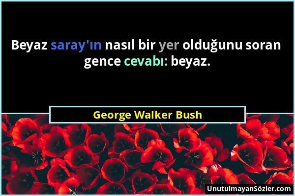 George Walker Bush - Beyaz saray'ın nasıl bir yer olduğunu soran gence cevabı: beyaz....