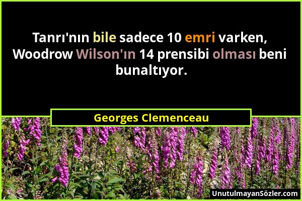 Georges Clemenceau - Tanrı'nın bile sadece 10 emri varken, Woodrow Wilson'ın 14 prensibi olması beni bunaltıyor....