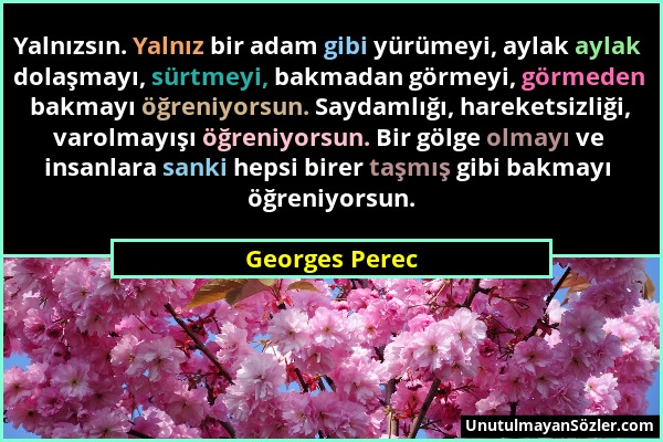 Georges Perec - Yalnızsın. Yalnız bir adam gibi yürümeyi, aylak aylak dolaşmayı, sürtmeyi, bakmadan görmeyi, görmeden bakmayı öğreniyorsun. Saydamlığı...