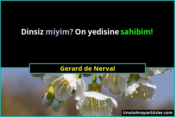 Gerard de Nerval - Dinsiz miyim? On yedisine sahibim!...