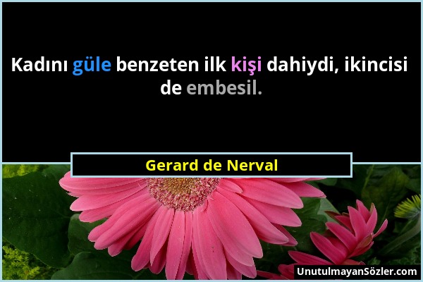 Gerard de Nerval - Kadını güle benzeten ilk kişi dahiydi, ikincisi de embesil....