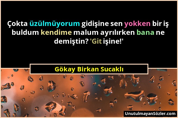 Gökay Birkan Sucaklı - Çokta üzülmüyorum gidişine sen yokken bir iş buldum kendime malum ayrılırken bana ne demiştin? 'Git işine!'...