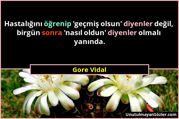 Gore Vidal - Hastalığını öğrenip 'geçmiş olsun' diyenler değil, birgün sonra 'nasıl oldun' diyenler olmalı yanında....