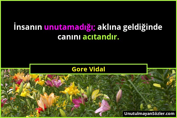 Gore Vidal - İnsanın unutamadığı; aklına geldiğinde canını acıtandır....