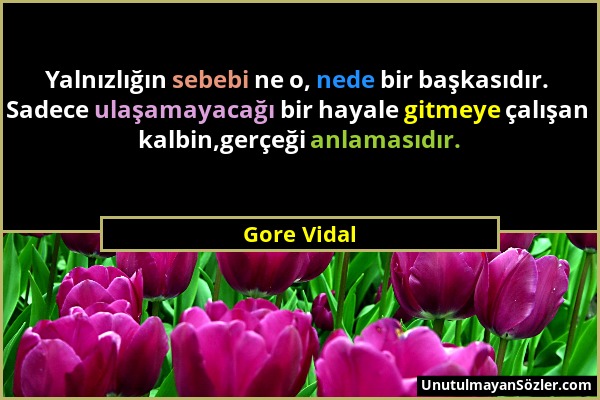 Gore Vidal - Yalnızlığın sebebi ne o, nede bir başkasıdır. Sadece ulaşamayacağı bir hayale gitmeye çalışan kalbin,gerçeği anlamasıdır....