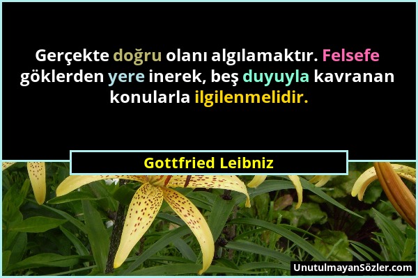 Gottfried Leibniz - Gerçekte doğru olanı algılamaktır. Felsefe göklerden yere inerek, beş duyuyla kavranan konularla ilgilenmelidir....