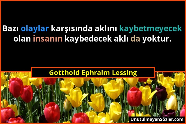 Gotthold Ephraim Lessing - Bazı olaylar karşısında aklını kaybetmeyecek olan insanın kaybedecek aklı da yoktur....