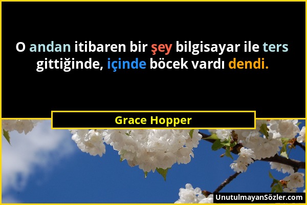 Grace Hopper - O andan itibaren bir şey bilgisayar ile ters gittiğinde, içinde böcek vardı dendi....