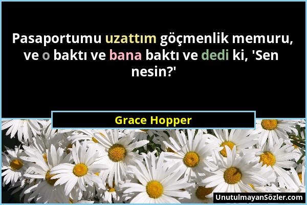 Grace Hopper - Pasaportumu uzattım göçmenlik memuru, ve o baktı ve bana baktı ve dedi ki, 'Sen nesin?'...