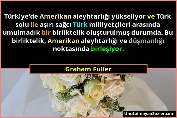 Graham Fuller - Türkiye'de Amerikan aleyhtarlığı yükseliyor ve Türk solu ile aşırı sağcı Türk milliyetçileri arasında umulmadık bir birliktelik oluştu...
