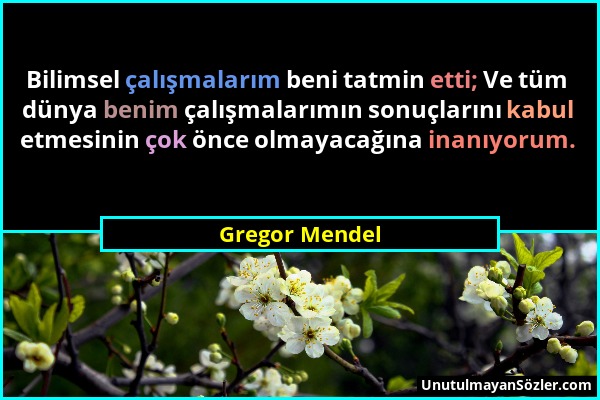 Gregor Mendel - Bilimsel çalışmalarım beni tatmin etti; Ve tüm dünya benim çalışmalarımın sonuçlarını kabul etmesinin çok önce olmayacağına inanıyorum...