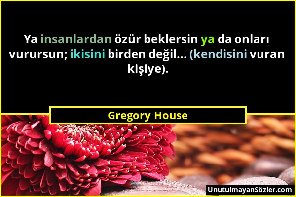 Gregory House - Ya insanlardan özür beklersin ya da onları vurursun; ikisini birden değil... (kendisini vuran kişiye)....