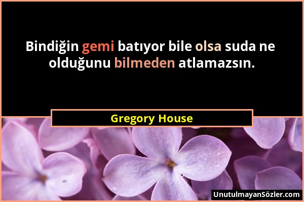 Gregory House - Bindiğin gemi batıyor bile olsa suda ne olduğunu bilmeden atlamazsın....