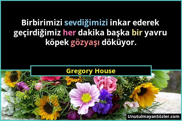 Gregory House - Birbirimizi sevdiğimizi inkar ederek geçirdiğimiz her dakika başka bir yavru köpek gözyaşı döküyor....