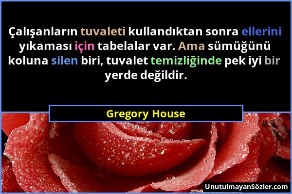 Gregory House - Çalışanların tuvaleti kullandıktan sonra ellerini yıkaması için tabelalar var. Ama sümüğünü koluna silen biri, tuvalet temizliğinde pe...