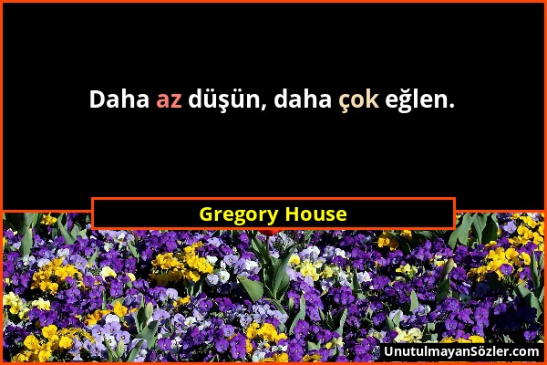 Gregory House - Daha az düşün, daha çok eğlen....