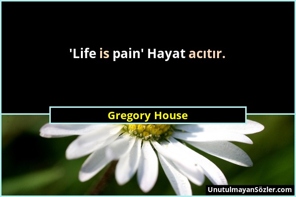 Gregory House - 'Life is pain' Hayat acıtır....
